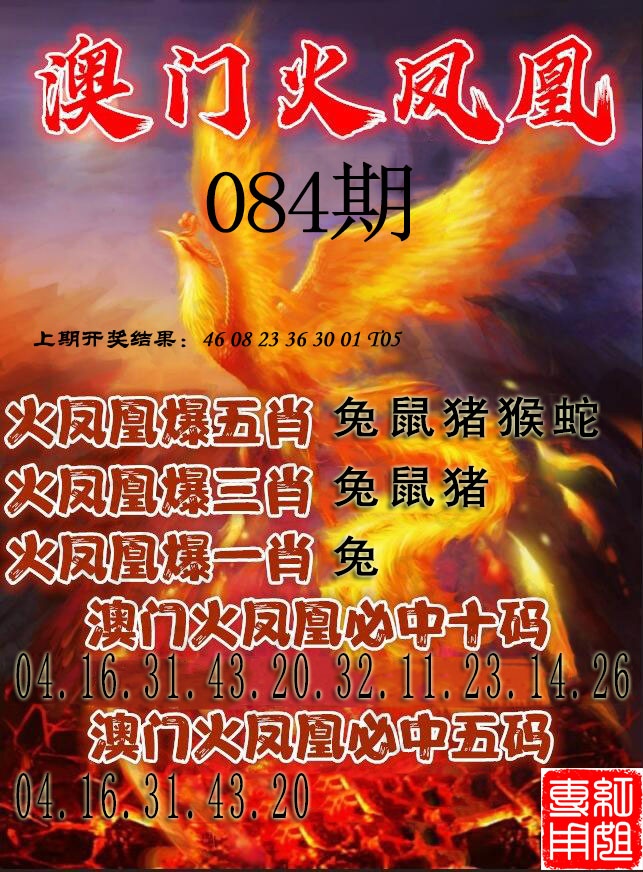084期火凤凰[图]