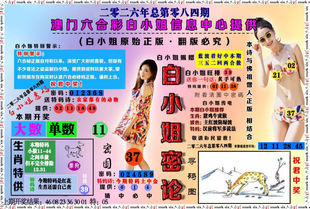 084期白小姐密论[图]